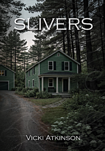 Slivers book cover